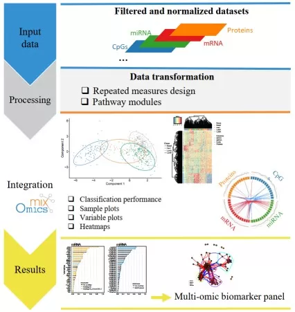 Standard DIABLO workflow for multi-omics data integration showing data loading, feature selection, and component analysis